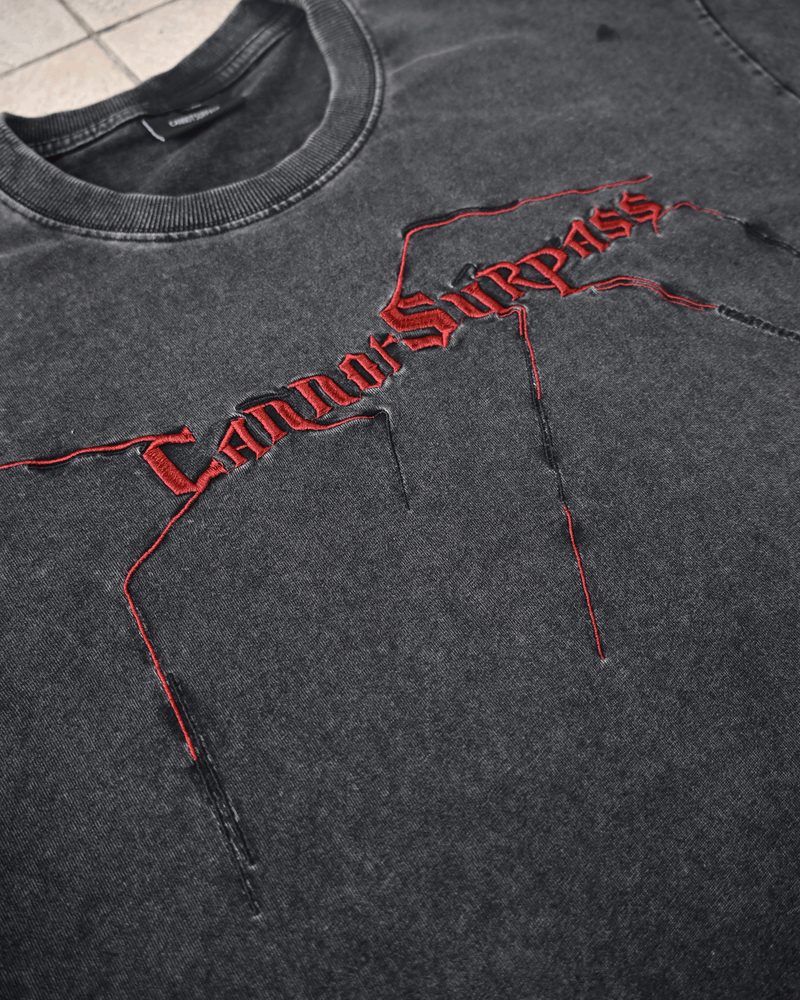 【予約商品】  ウォッシュドヴィンテージビッグTシャツ L1119